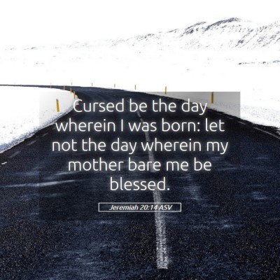 Picture 05 - Jeremiah 20:14 ASV - Cursed be the day wherein I was born: let not the - Bible Verse Picture