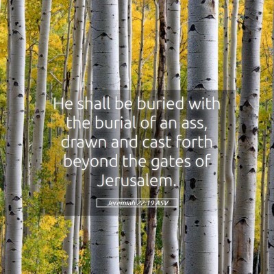 Picture 05 - Jeremiah 22:19 ASV - He shall be buried with the burial of an ass, - Bible Verse Picture
