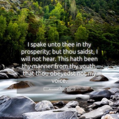 Picture 05 - Jeremiah 22:21 ASV - I spake unto thee in thy prosperity; but thou - Bible Verse Picture