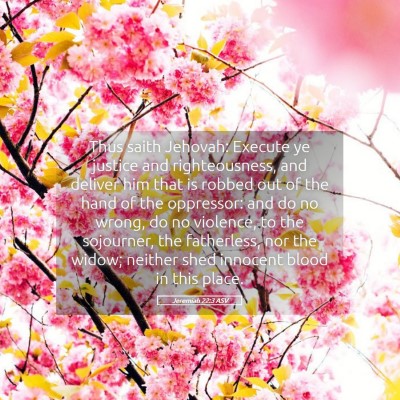 Picture 05 - Jeremiah 22:3 ASV - Thus saith Jehovah: Execute ye justice and - Bible Verse Picture