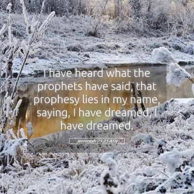 Picture 05 - Jeremiah 23:25 ASV - I have heard what the prophets have said, that - Bible Verse Picture