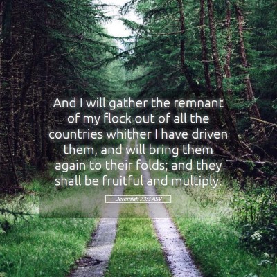 Picture 05 - Jeremiah 23:3 ASV - And I will gather the remnant of my flock out of - Bible Verse Picture