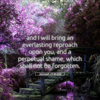 Picture 05 - Jeremiah 23:40 ASV - and I will bring an everlasting reproach upon - Bible Verse Picture