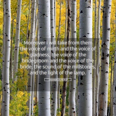 Picture 05 - Jeremiah 25:10 ASV - Moreover I will take from them the voice of mirth - Bible Verse Picture