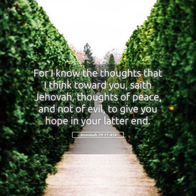 Picture 05 - Jeremiah 29:11 ASV - For I know the thoughts that I think toward you, - Bible Verse Picture