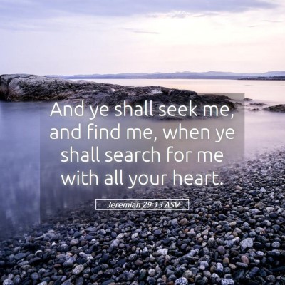 Picture 05 - Jeremiah 29:13 ASV - And ye shall seek me, and find me, when ye shall - Bible Verse Picture