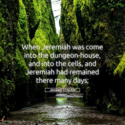 Picture 05 - Jeremiah 37:16 ASV - When Jeremiah was come into the dungeon-house, - Bible Verse Picture