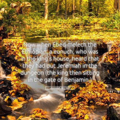 Picture 05 - Jeremiah 38:7 ASV - Now when Ebed-melech the Ethiopian, a eunuch, who - Bible Verse Picture