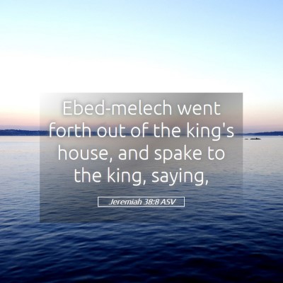 Picture 05 - Jeremiah 38:8 ASV - Ebed-melech went forth out of the king's house, - Bible Verse Picture