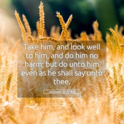 Picture 05 - Jeremiah 39:12 ASV - Take him, and look well to him, and do him no - Bible Verse Picture