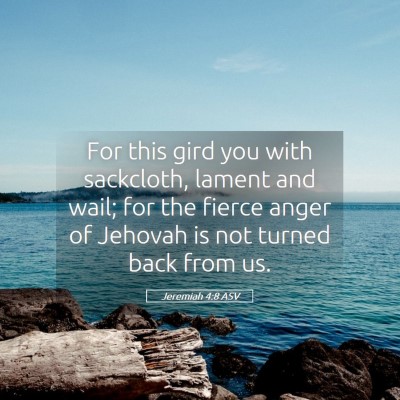 Picture 05 - Jeremiah 4:8 ASV - For this gird you with sackcloth, lament and - Bible Verse Picture