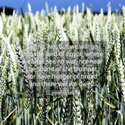 Picture 05 - Jeremiah 42:14 ASV - saying, No; but we will go into the land of - Bible Verse Picture