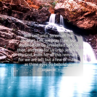 Picture 05 - Jeremiah 42:2 ASV - and said unto Jeremiah the prophet, Let, we pray - Bible Verse Picture