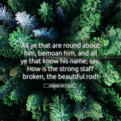 Picture 05 - Jeremiah 48:17 ASV - All ye that are round about him, bemoan him, and - Bible Verse Picture