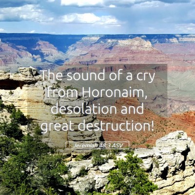 Picture 05 - Jeremiah 48:3 ASV - The sound of a cry from Horonaim, desolation and - Bible Verse Picture