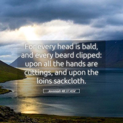 Picture 05 - Jeremiah 48:37 ASV - For every head is bald, and every beard clipped: - Bible Verse Picture