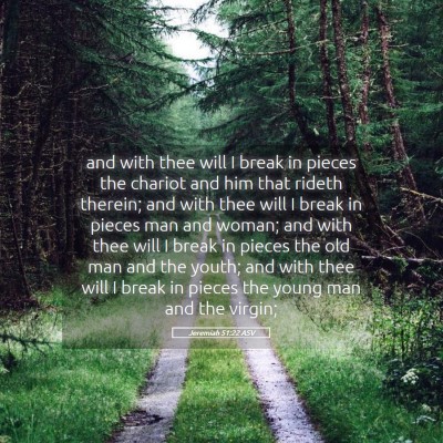 Picture 05 - Jeremiah 51:22 ASV - and with thee will I break in pieces the chariot - Bible Verse Picture