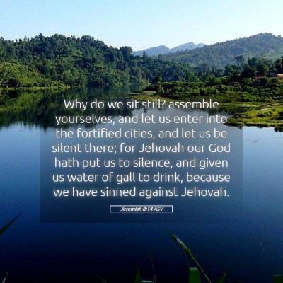 Picture 05 - Jeremiah 8:14 ASV - Why do we sit still? assemble yourselves, and let - Bible Verse Picture