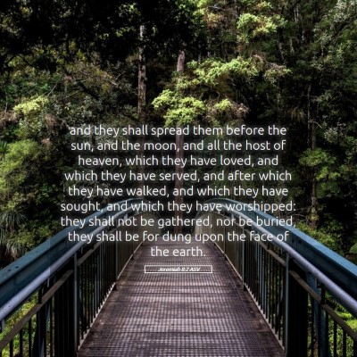 Picture 05 - Jeremiah 8:2 ASV - and they shall spread them before the sun, and - Bible Verse Picture
