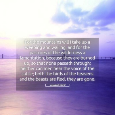 Picture 05 - Jeremiah 9:10 ASV - For the mountains will I take up a weeping and - Bible Verse Picture