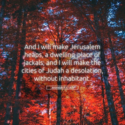 Picture 05 - Jeremiah 9:11 ASV - And I will make Jerusalem heaps, a dwelling-place - Bible Verse Picture