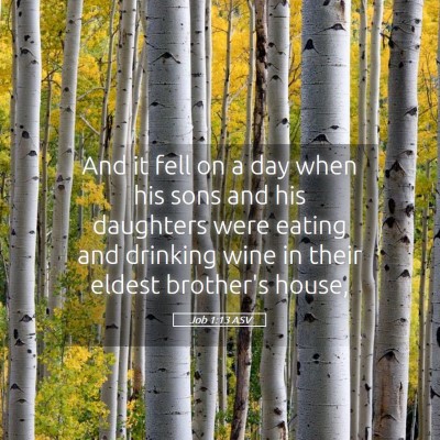 Picture 05 - Job 1:13 ASV - And it fell on a day when his sons and his - Bible Verse Picture