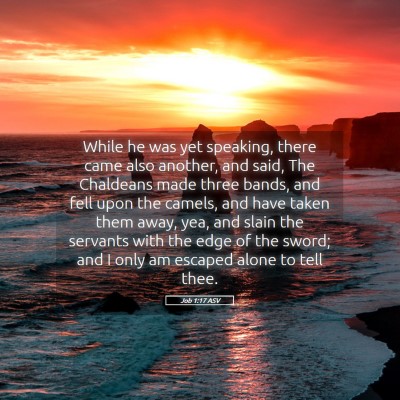 Picture 05 - Job 1:17 ASV - While he was yet speaking, there came also - Bible Verse Picture