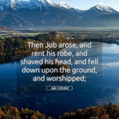 Picture 05 - Job 1:20 ASV - Then Job arose, and rent his robe, and shaved his - Bible Verse Picture