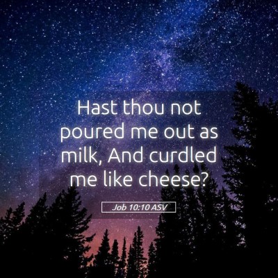 Picture 05 - Job 10:10 ASV - Hast thou not poured me out as milk, And curdled - Bible Verse Picture