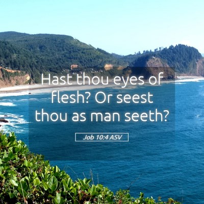 Picture 05 - Job 10:4 ASV - Hast thou eyes of flesh? Or seest thou as man - Bible Verse Picture