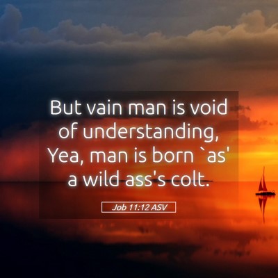 Picture 05 - Job 11:12 ASV - But vain man is void of understanding, Yea, man - Bible Verse Picture