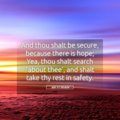 Picture 05 - Job 11:18 ASV - And thou shalt be secure, because there is hope; - Bible Verse Picture