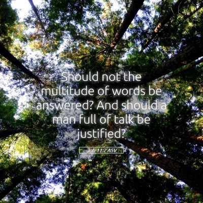 Picture 05 - Job 11:2 ASV - Should not the multitude of words be answered? - Bible Verse Picture