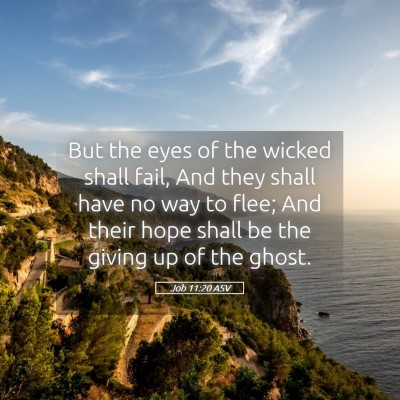 Picture 05 - Job 11:20 ASV - But the eyes of the wicked shall fail, And they - Bible Verse Picture