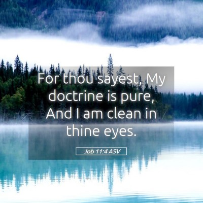 Picture 05 - Job 11:4 ASV - For thou sayest, My doctrine is pure, And I am - Bible Verse Picture