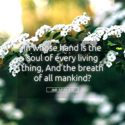 Picture 05 - Job 12:10 ASV - In whose hand is the soul of every living thing, - Bible Verse Picture
