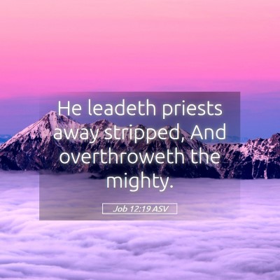 Picture 05 - Job 12:19 ASV - He leadeth priests away stripped, And - Bible Verse Picture