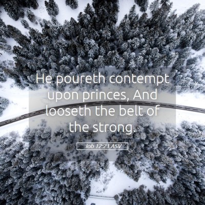 Picture 05 - Job 12:21 ASV - He poureth contempt upon princes, And looseth the - Bible Verse Picture