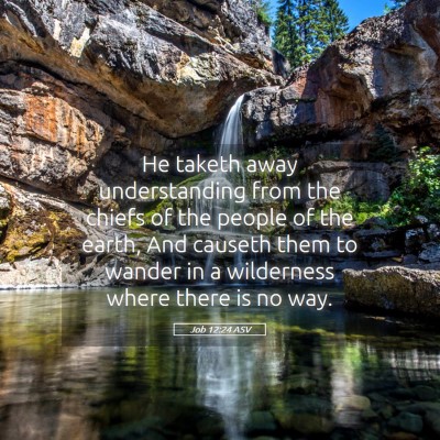 Picture 05 - Job 12:24 ASV - He taketh away understanding from the chiefs of - Bible Verse Picture