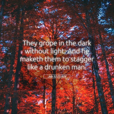 Picture 05 - Job 12:25 ASV - They grope in the dark without light; And he - Bible Verse Picture