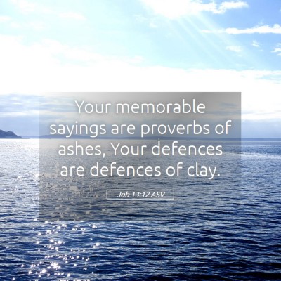 Picture 05 - Job 13:12 ASV - Your memorable sayings are proverbs of ashes, - Bible Verse Picture