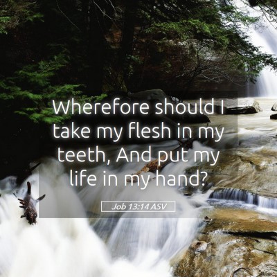 Picture 05 - Job 13:14 ASV - Wherefore should I take my flesh in my teeth, And - Bible Verse Picture