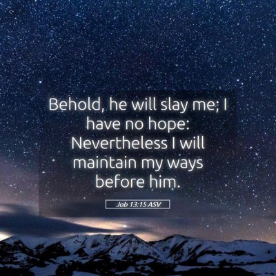 Picture 05 - Job 13:15 ASV - Behold, he will slay me; I have no hope: - Bible Verse Picture