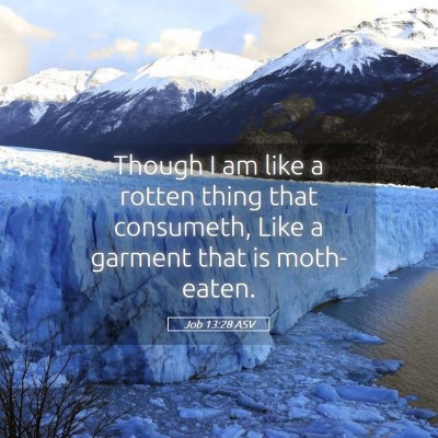 Picture 05 - Job 13:28 ASV - Though I am like a rotten thing that consumeth, - Bible Verse Picture