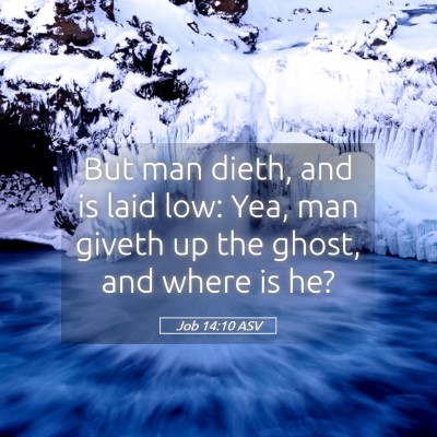 Picture 05 - Job 14:10 ASV - But man dieth, and is laid low: Yea, man giveth - Bible Verse Picture
