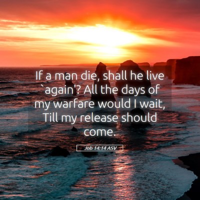 Picture 05 - Job 14:14 ASV - If a man die, shall he live `again'? All the days - Bible Verse Picture