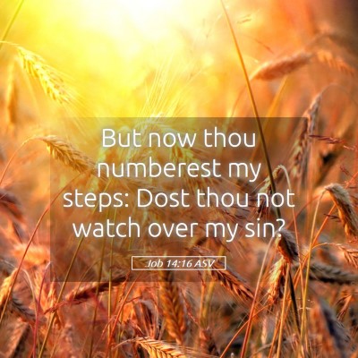 Picture 05 - Job 14:16 ASV - But now thou numberest my steps: Dost thou not - Bible Verse Picture