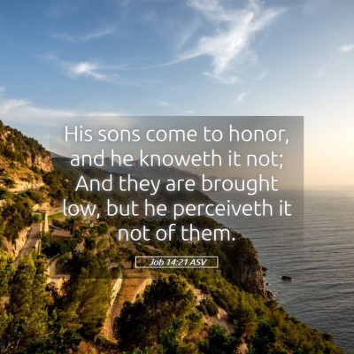 Picture 05 - Job 14:21 ASV - His sons come to honor, and he knoweth it not; - Bible Verse Picture