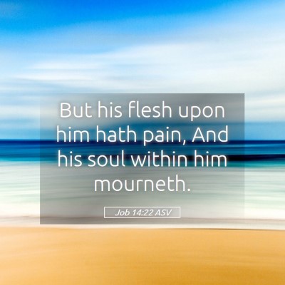 Picture 05 - Job 14:22 ASV - But his flesh upon him hath pain, And his soul - Bible Verse Picture