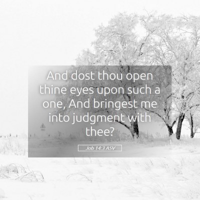 Picture 05 - Job 14:3 ASV - And dost thou open thine eyes upon such a one, - Bible Verse Picture